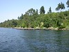 Andrew > The Gates residence from Lake Washington